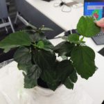 柱・プラスチック・石がタッチパネルになる。ＪＤＩの独自技術が面白い