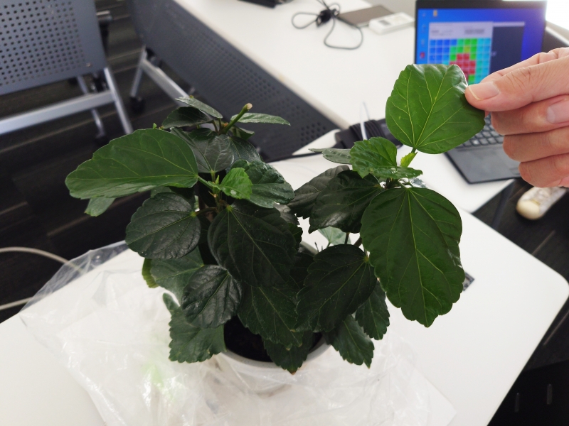 柱・プラスチック・石がタッチパネルになる。ＪＤＩの独自技術が面白い