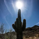 フェニックス、10月の記録的な暑さの21日間連続に終止符を打つ