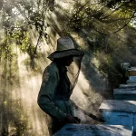 大気汚染が受粉蜂を混乱させる理由