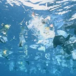 海には171兆個のプラスチック片が散乱している