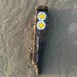 シュロップシャーの標識がサマセットの海岸に打ち上げられる