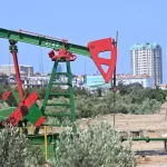 COP29主催者、気候保護活動家を拘束したと非難される