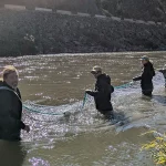 カリフォルニア州の歴史的なダム撤去プロジェクトにより、100年ぶりにクラマス川にサケが戻ってきた。